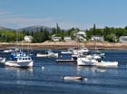 acadia lobster boats